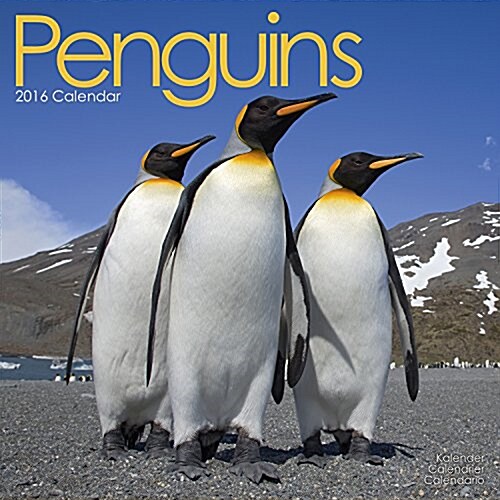 Penguins Calendar 2016 (Calendar)
