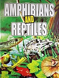 Amphibians and Reptiles (Paperback)