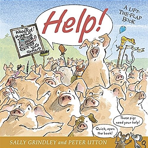 Help! : Lift-the-Flap Book (Hardcover)
