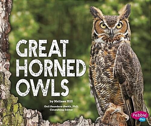 Great Horned Owls (Hardcover)