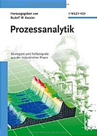 Prozessanalytik : Strategien und Fallbeispiele aus der Industriellen Praxis (Hardcover)