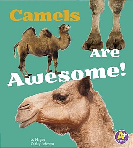 Camels are Awesome! (Hardcover)