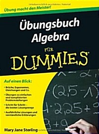 Ubungsbuch Algebra Fur Dummies (Paperback)