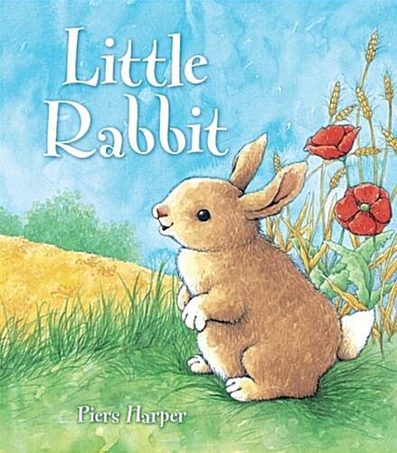 Little Rabbit (Paperback)