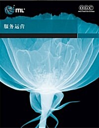 Service operation (Chinese language edition) (Paperback)
