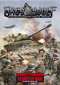 [중고] Grey Wolf : Axis Forces on the Eastern Front, January 1944-February 1945 (Hardcover)