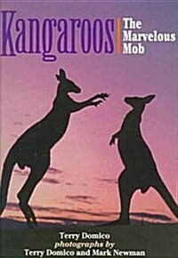 Kangaroos (Hardcover)