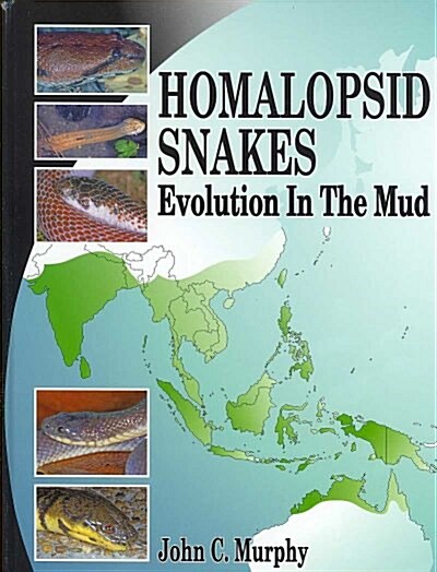 Homalopsid Snakes (Hardcover)
