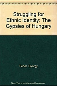 Struggling for Ethnic Identity (Paperback)