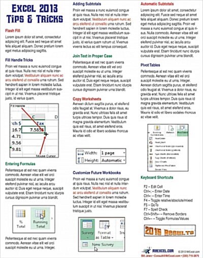 Excel 2013 Laminated Tip Card: Tips & Tricks from Mrexcel (Paperback)