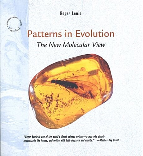 Patterns in Evolution (Paperback)