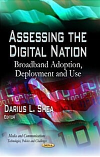 Assessing the Digital Nation (Hardcover)