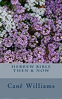 Hebrew Bible Then & Now (Paperback)