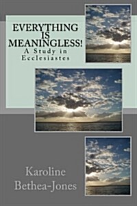 Everything Is Meaningless!: A Study in Ecclesiastes (Paperback)