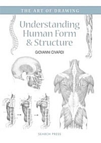 Art of Drawing: Understanding Human Form & Structure (Paperback)