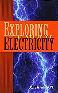 Exploring the Value of Electricity (Hardcover)