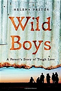 Wild Boys: A Parents Story of Tough Love (Paperback)