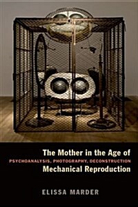 The Mother in the Age of Mechanical Reproduction: Psychoanalysis, Photography, Deconstruction (Hardcover)