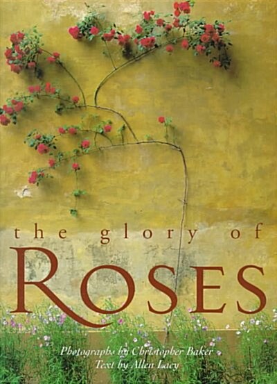 The Glory of Roses (Paperback)