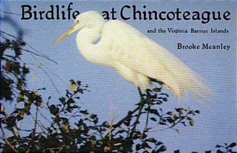 Birdlife at Chincoteague and the Virginia Barrier Islands (Paperback)