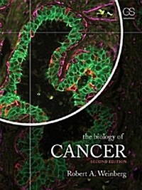 [중고] The Biology of Cancer (Paperback, 2, Revised)