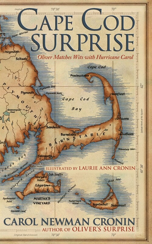 Cape Cod Surprise (Paperback)