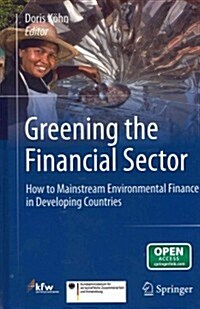 Greening the Financial Sector: How to Mainstream Environmental Finance in Developing Countries (Hardcover)