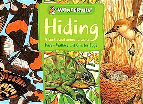 [중고] Wonderwise : Hiding