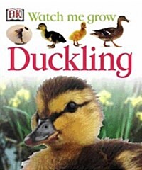Watch Me Grow Duckling [HC]