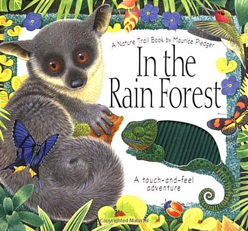 [중고] In the Rain Forest : A Nature Trail Book