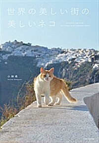 世界の美しい街の美しいネコ (單行本(ソフトカバ-))