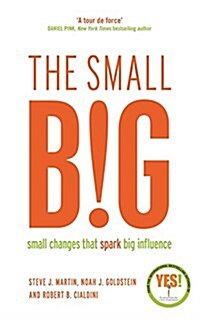 The small BIG : Small Changes that Spark Big Influence (Paperback, Main)