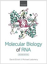 Molecular Biology of RNA (Paperback, 2 Revised edition)