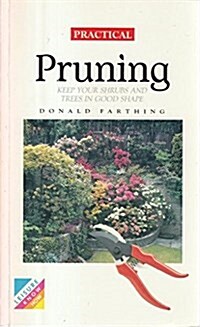 Practical Pruning (Paperback)