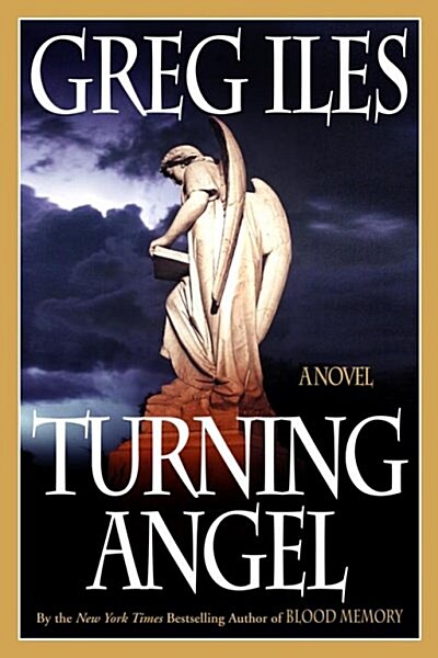 Turning Angel (Paperback)
