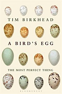 The Most Perfect Thing: Inside (and Outside) a Birds Egg (Hardcover)