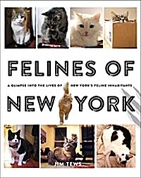 Felines of New York: A Glimpse Into the Lives of New Yorks Feline Inhabitants (Paperback)