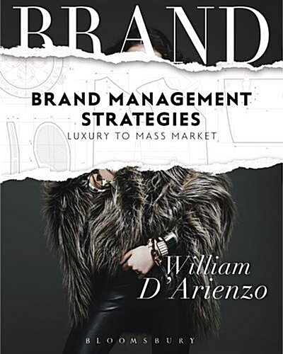Brand Management Strategies: Luxury and Mass Markets (Paperback)