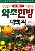 [중고] 한방 약초 민간요법 대백과