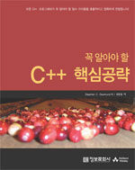 (꼭 알아야 할) C++ 핵심공략