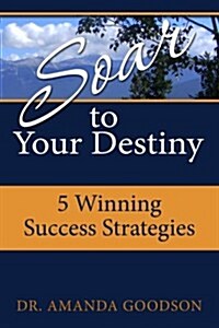 Soar to Your Destiny: Winning Success Strategies (Paperback)