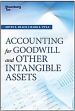 Accounting for Goodwill and Other Intangible Assets (Hardcover)