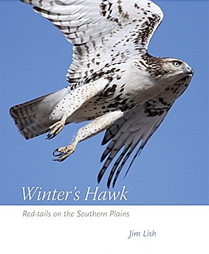 Winters Hawk: Red-Tails on the Southern Plains (Paperback)