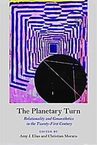 The Planetary Turn: Relationality and Geoaesthetics in the Twenty-First Century (Paperback)