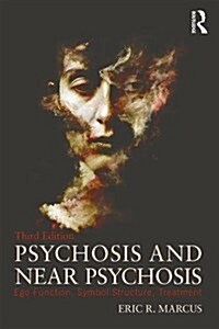 Psychosis and Near Psychosis : Ego Function, Symbol Structure, Treatment (Paperback, 3 ed)