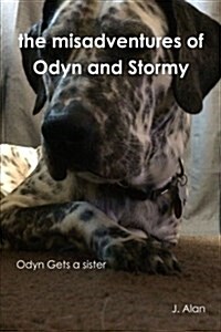 The Misadventures of Odyn and Stormy (Paperback)