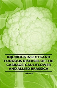Injurious Insects and Fungous Diseases of the Cabbage, Cauliflower and Allied Brassica (Paperback)