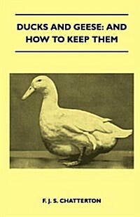 Ducks and Geese: And How to Keep Them (Paperback)
