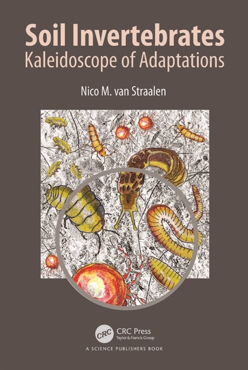 Soil Invertebrates: Kaleidoscope of Adaptations (Hardcover)