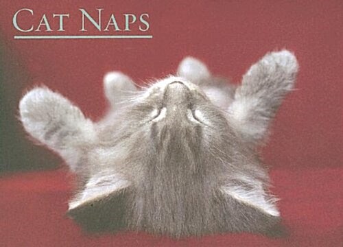 Cat Naps (Novelty)